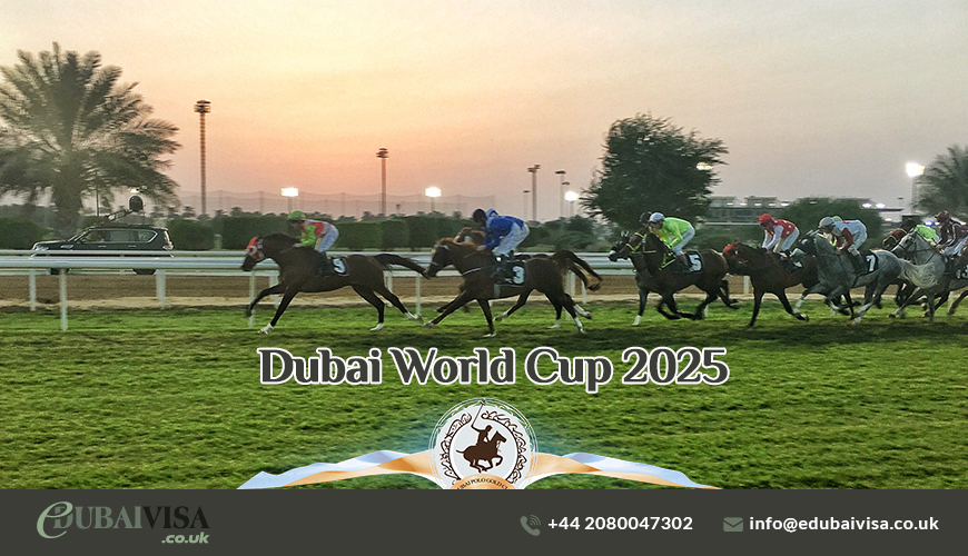 Dubai World Cup 2025 Things You Should Know!